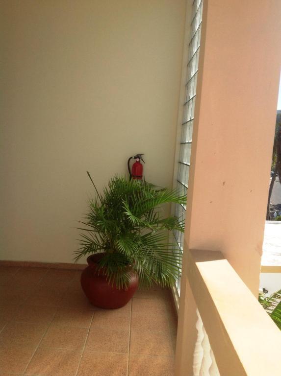 Suenos Del Mar Appartement Fajardo Buitenkant foto